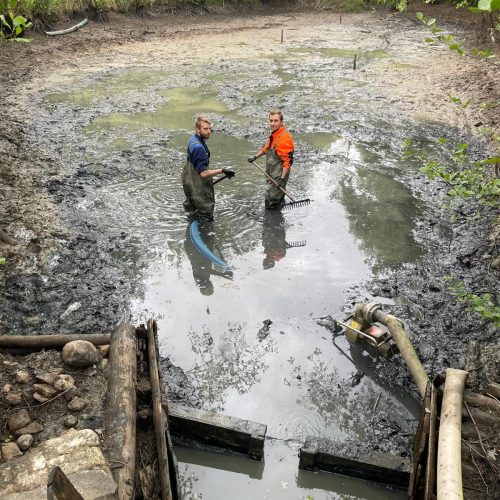 TE Teichservice Teichreinigung Braunschweig