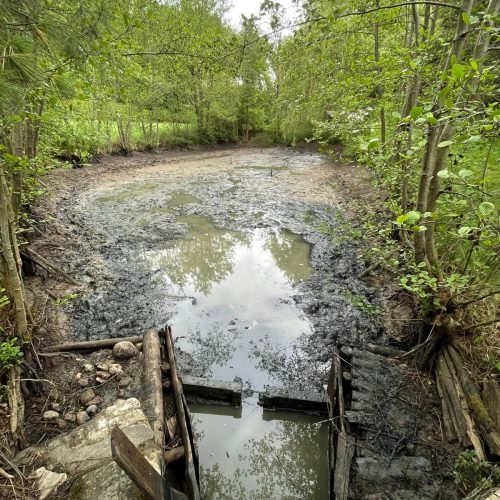 TE Teichservice Teichreinigung Braunschweig