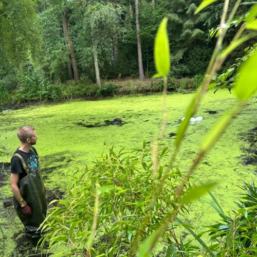 TE Teichservice Teichreinigung Braunschweig