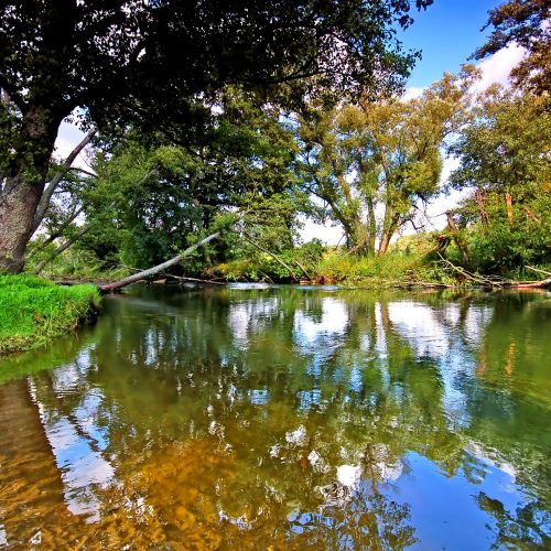 TE Teichservice Teichreinigung Braunschweig