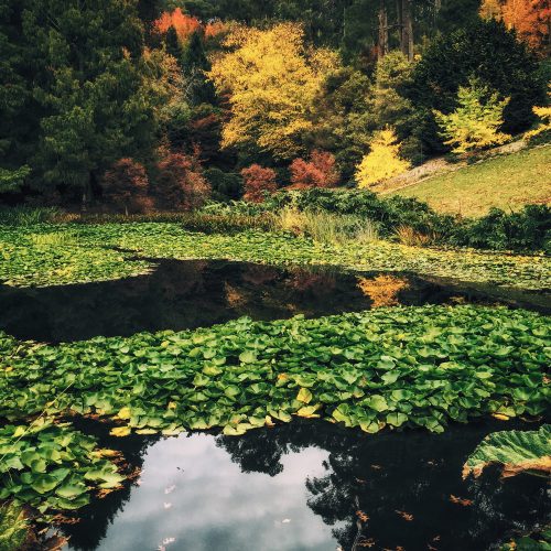 TE Teichservice Teichreinigung Braunschweig