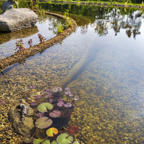 TE Teichservice Teichreinigung Braunschweig